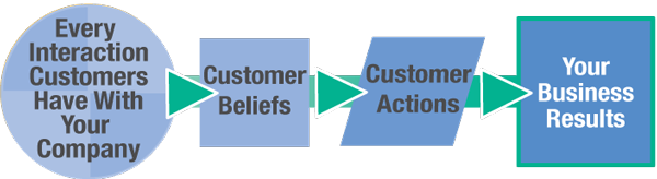 brand-harmony-interactions-beliefs-actions-results